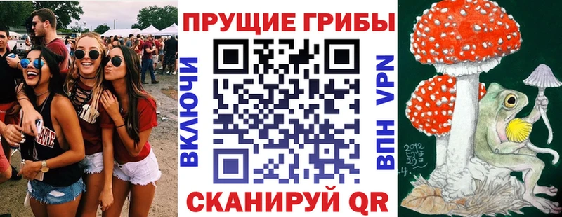 цены наркотик  Звенигород  Псилоцибиновые грибы Psilocybine cubensis 